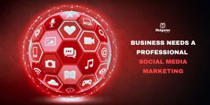 Professional social media marketing