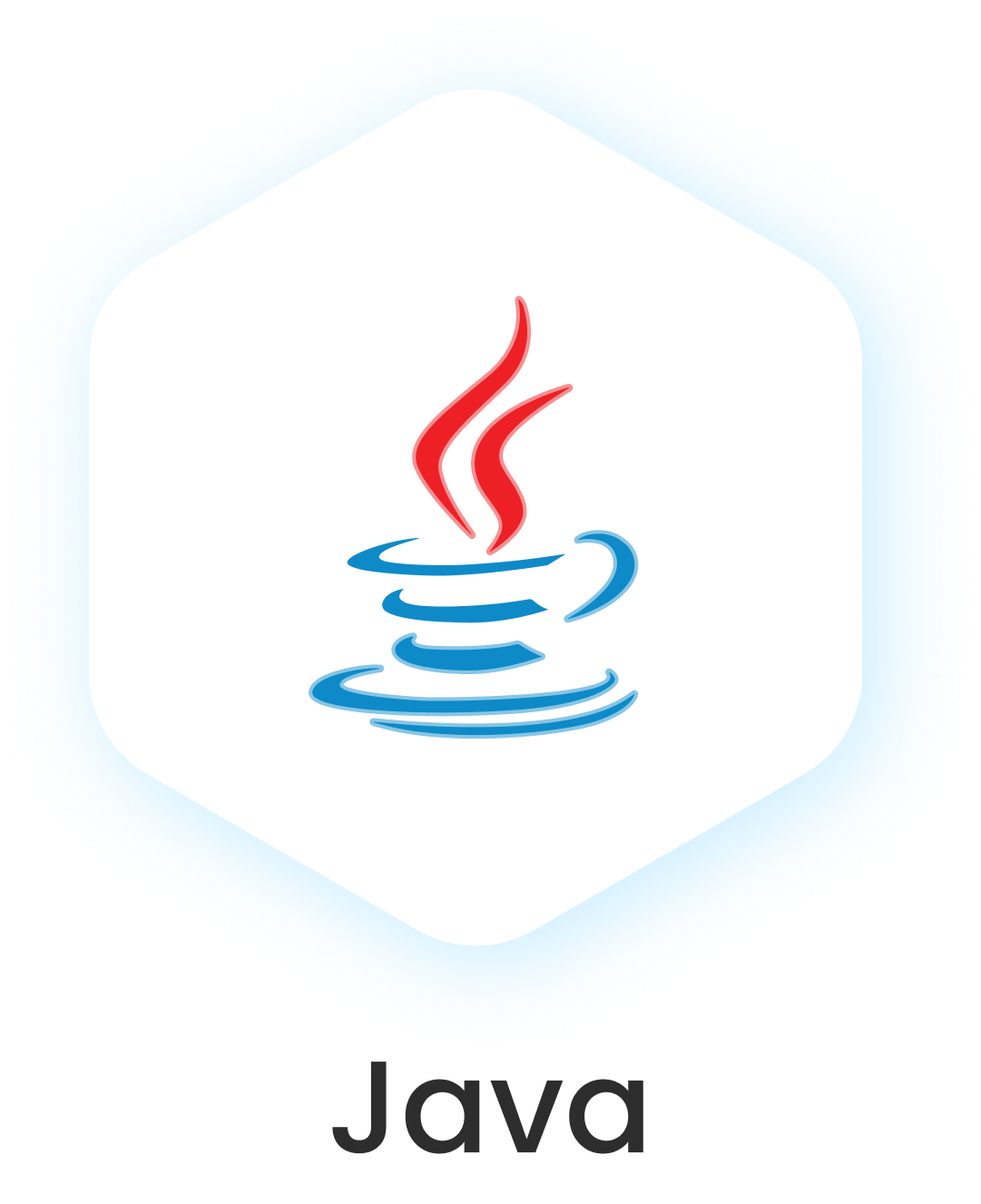JAVA