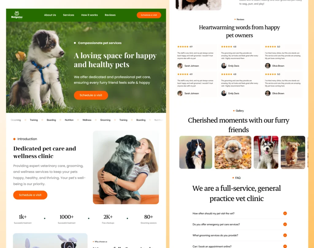 Pet care & veterinary website design